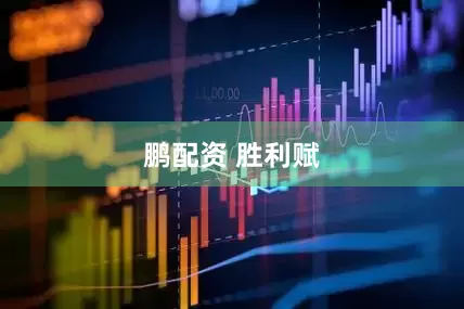 鹏配资 胜利赋