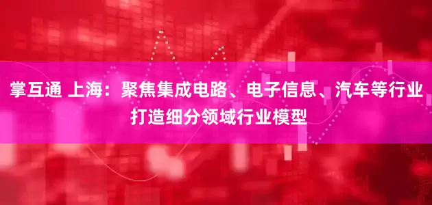 掌互通 上海：聚焦集成电路、电子信息、汽车等行业 打造细分领域行业模型